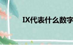 IX代表什么数字？这是什么号码