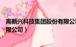 高新兴科技集团股份有限公司财报（高新兴科技集团股份有限公司）