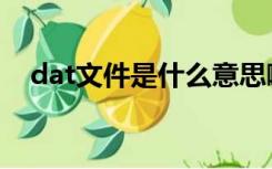 dat文件是什么意思啊（dat文件是什么）