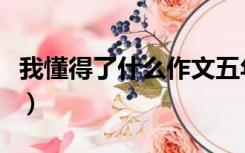 我懂得了什么作文五年级（我懂得了什么作文）