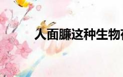 人面臁这种生物存在吗（人面臁）