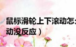 鼠标滑轮上下滚动怎么取消（鼠标滑轮上下滚动没反应）