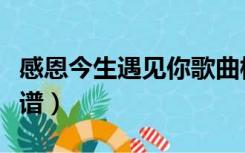 感恩今生遇见你歌曲模板（感恩今生遇见你简谱）