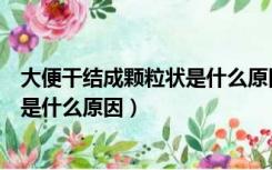 大便干结成颗粒状是什么原因怎样调理（大便干结成颗粒状是什么原因）