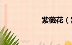 紫薇花（紫薇星君）