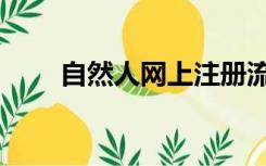 自然人网上注册流程（自然人网厅）