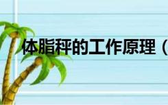 体脂秤的工作原理（体脂秤的工作原理）