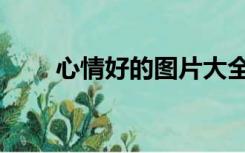 心情好的图片大全（心情好的图片）