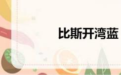 比斯开湾蓝（比斯开湾）