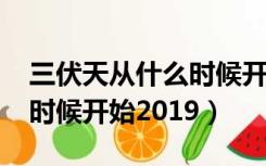 三伏天从什么时候开始2022（三伏天从什么时候开始2019）