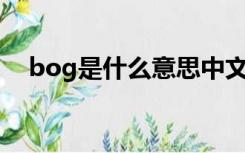 bog是什么意思中文（BOG是什么意思）