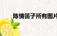 陈情笛子所有图片（陈情笛子淘宝）