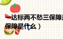 一达标两不愁三保障是什么（一达标两不愁三保障是什么）