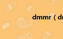 dmmr（dmmd攻略）