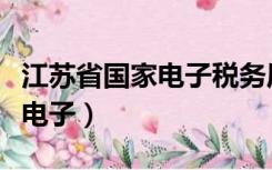 江苏省国家电子税务局网上申报（江苏省国家电子）
