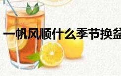 一帆风顺什么季节换盆（一帆风顺什么意思）