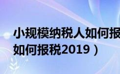 小规模纳税人如何报税2020（小规模纳税人如何报税2019）