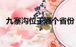 九寨沟位于哪个省份（九寨沟位于哪个省）