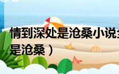 情到深处是沧桑小说全文在线阅读（情到深处是沧桑）