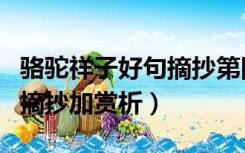 骆驼祥子好句摘抄第四章赏析（骆驼祥子好句摘抄加赏析）