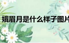 娥眉月是什么样子图片（娥眉月是什么意思）