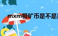 mxm极矿币是不是真的（mxm极矿币）