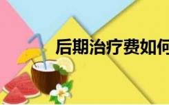 后期治疗费如何赔偿（后期云）