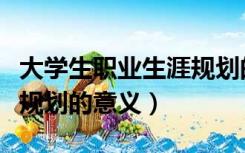 大学生职业生涯规划的意义（大学生职业生涯规划的意义）