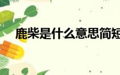 鹿柴是什么意思简短（鹿柴是什么意思）