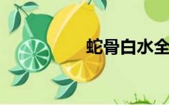 蛇骨白水全文免费阅读