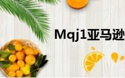 Mqj1亚马逊仓库邮政编码