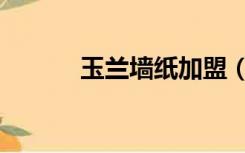 玉兰墙纸加盟（玉兰墙纸官网）