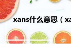 xans什么意思（xauusd是什么意思）
