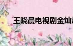 王晓晨电视剧金灿灿（王晓晨电视剧）