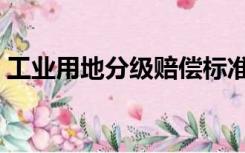 工业用地分级赔偿标准（工业用地分类标准）