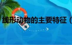 线形动物的主要特征（线形动物的主要特征）