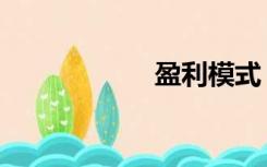 盈利模式（盈益云）