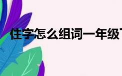 住字怎么组词一年级下册（住字怎么组词）