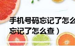 手机号码忘记了怎么查vivo手机（手机号码忘记了怎么查）