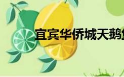 宜宾华侨城天鹅堡（宜宾华侨城）