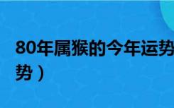 80年属猴的今年运势（80年属猴的2019年运势）
