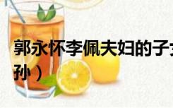 郭永怀李佩夫妇的子女情况（郭永怀李佩的外孙）