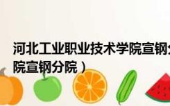 河北工业职业技术学院宣钢分院评价（河北工业职业技术学院宣钢分院）