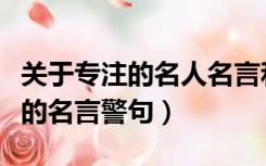关于专注的名人名言和事例有哪些（关于专注的名言警句）