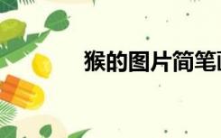 猴的图片简笔画（猴的图片）