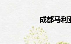 成都马利亚妇产医院