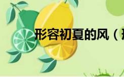形容初夏的风（形容初夏的诗句）