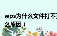 wps为什么文件打不开（wps文件打不开是什么原因）