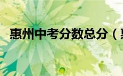 惠州中考分数总分（惠州中考分数怎么算）