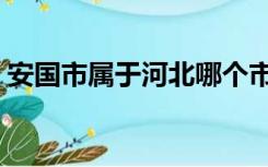 安国市属于河北哪个市（安国市属于哪个市）